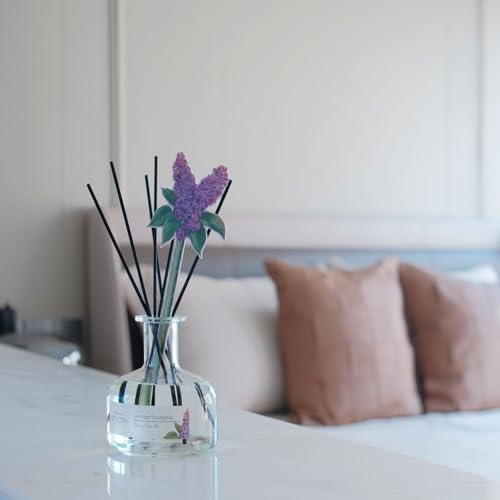 BITSOTA Reed Diffuser Set with 6 Scents
