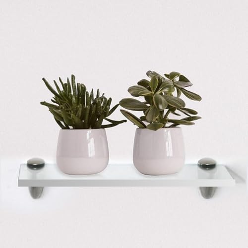 Clear Acrylic Floating Shelf 8x12 Inch by Yana