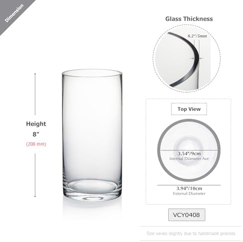 WGVI Clear Glass Cylinder Vases 6 Pcs Set 4 W x 8 H