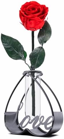 SofLiv Heart Shaped Metal Flower Vase with Frame