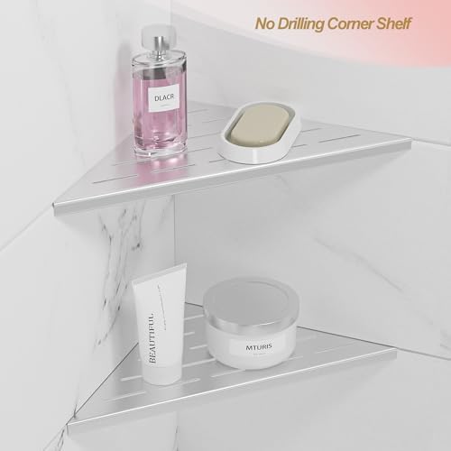 Neodrain 10 Inch Brushed Steel Corner Shelf Set of 2 No Drilling