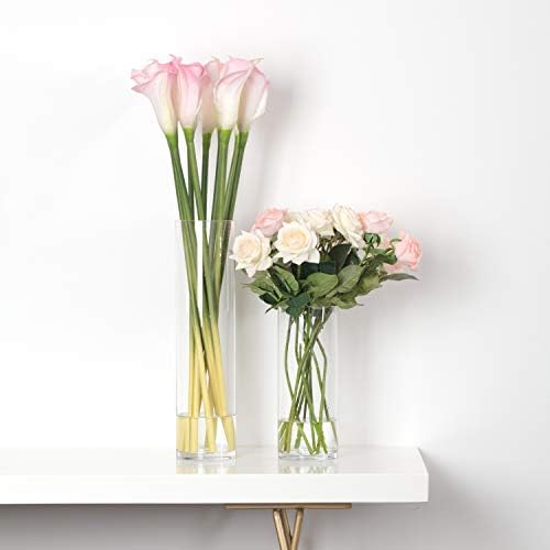 WGVI Glass Cylinder Vase 4x16 Tall for Centerpieces