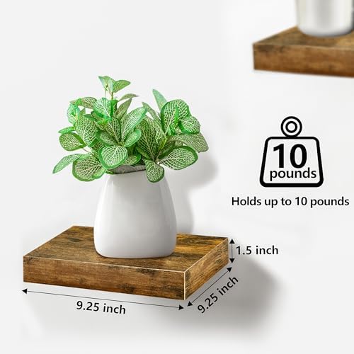Sorbus Floating Shelves - 3 Square Wall Shelves for Accent Wall Decor