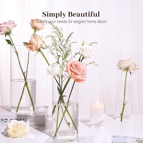 16 Pack Clear Glass Cylinder Vases for Home Decor and Party Use