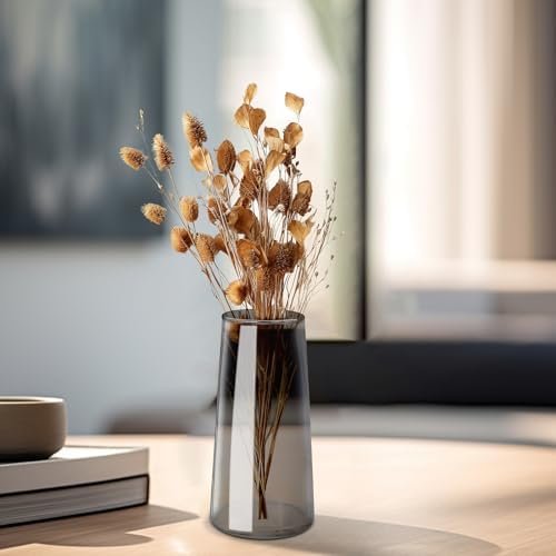 Clear Glass Flower Vase for Home Decor - Modern Small Gray Vase