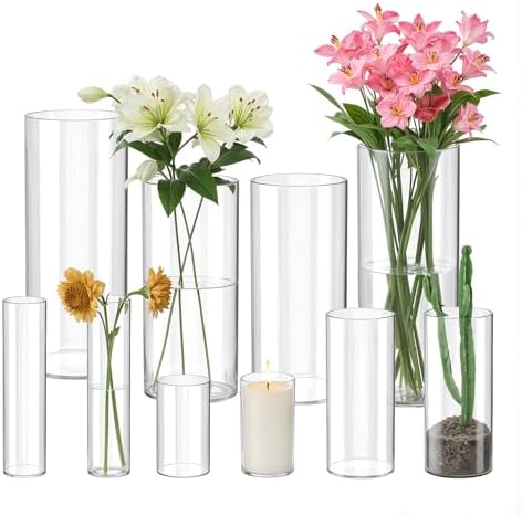 Glass Cylinder Vase Set 10PCS Tall Clear Vases for Home Dcor