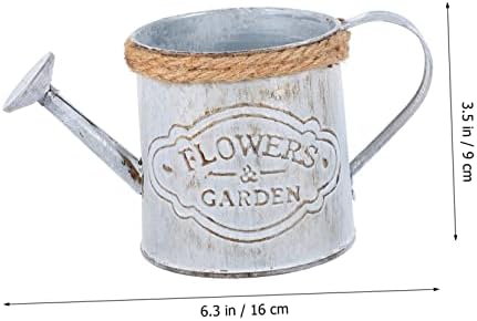 BESPORTBLE 2pcs Retro Iron Flower Bucket Decor Vase