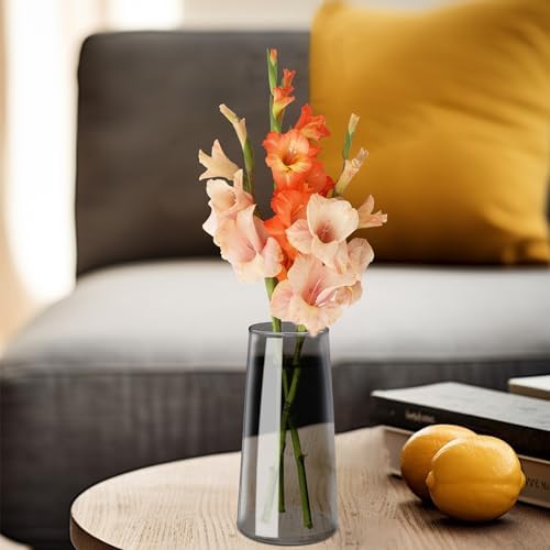 Clear Glass Flower Vase for Home Decor - Modern Small Gray Vase