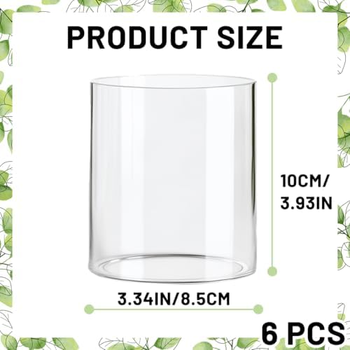 6 Pcs Glass Cylinder Vases for Centerpieces