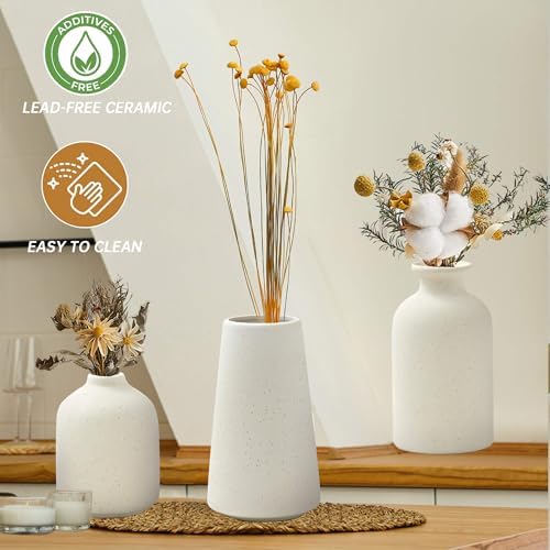 Set of 3 Beige Ceramic Vases for Pampas Grass and Dried Flowers