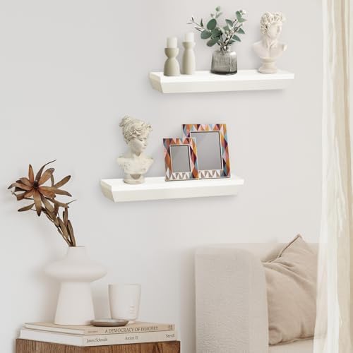 AHDECOR Floating Shelves Set of 2