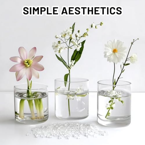 6 Pcs Glass Cylinder Vases for Centerpieces