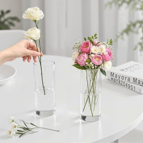 Mavora Max Glass Cylinder Vase Set 15