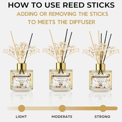 Bloom Fragrance Reed Diffuser 4oz Vanilla