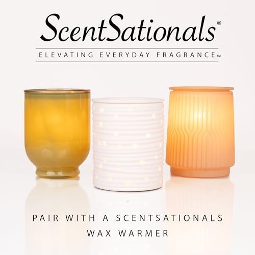 Scentsationals Wax Melts Staycation 4-Pack