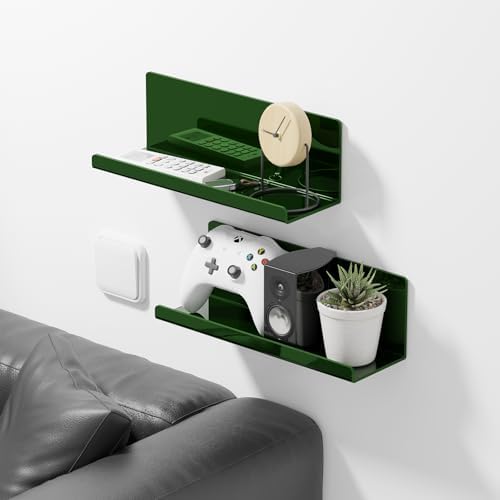PAVSTINE 12 Inch Acrylic Floating Wall Shelf No Drilling