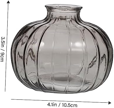 Ciieeo Pumpkin Shaped Glass Vase for Dried Flowers Home Decor
