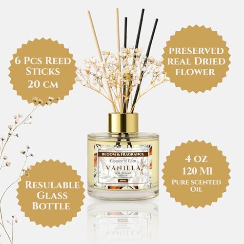 Bloom Fragrance Reed Diffuser 4oz Vanilla