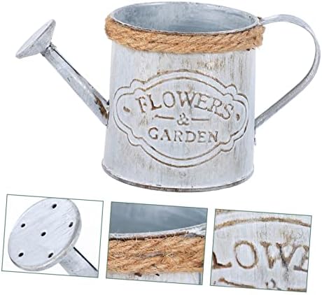 BESPORTBLE 2pcs Retro Iron Flower Bucket Decor Vase