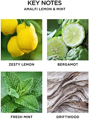 NEST New York Reed Diffuser Amalfi Lemon Mint 59 fl oz