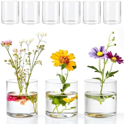 6 Pcs Glass Cylinder Vases for Centerpieces