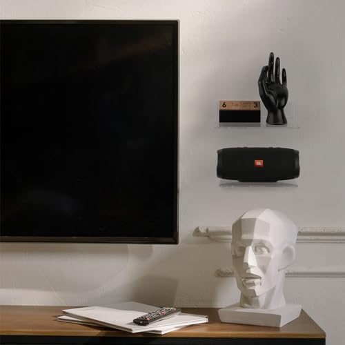 Cosmos Set of 2 Acrylic Floating Wall Shelves for Home Office Decor