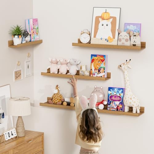 Floating Shelves Set of 6 24 Inch Wall Mounted Display Organizer