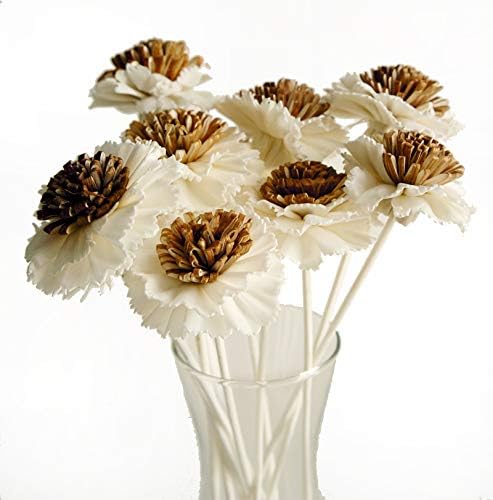 10 Fried Egg Reed Diffuser Oils by Plawanature