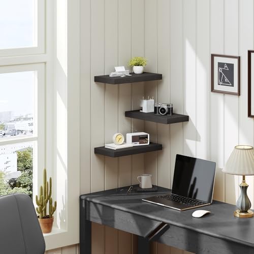 RALGEND Floating Wall Shelf Set of 3 Black