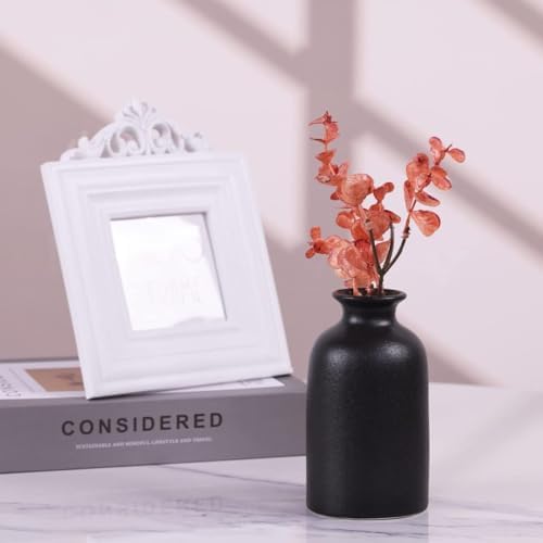 6 Pack Matte Black Ceramic Bud Vases 5 Inch Modern Boho Mini Vases for Flowers Pampas Grass or Dried Stems