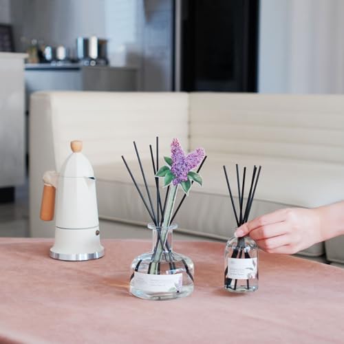 BITSOTA Reed Diffuser Set with 6 Scents