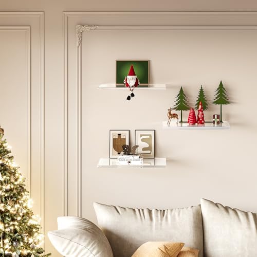 Clear Acrylic Floating Shelves for Wall Mounting
