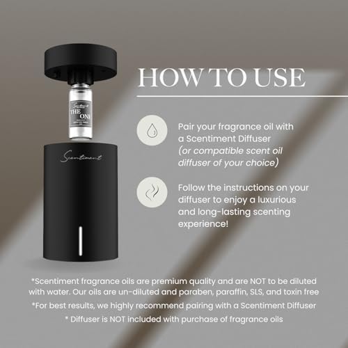 French Oud Designer Diffuser Oil 120 mL