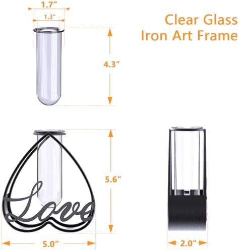 SofLiv Heart Shaped Metal Flower Vase with Frame