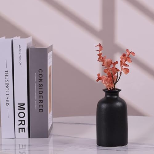 6 Pack Matte Black Ceramic Bud Vases 5 Inch Modern Boho Mini Vases for Flowers Pampas Grass or Dried Stems