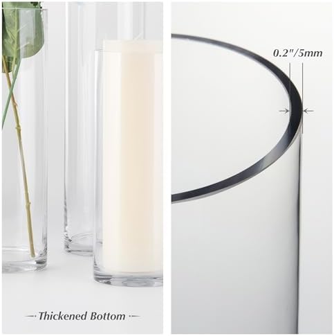 WGVI Clear Glass Cylinder Vases 6 Pcs Set 4 W x 8 H