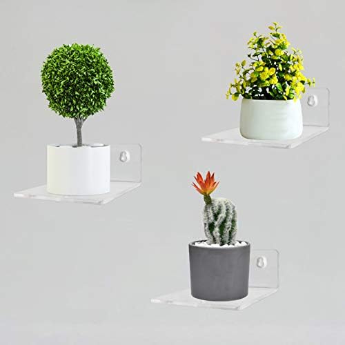Bigfety Acrylic Floating Shelves 3-Ledges Clear Mini Display Shelf