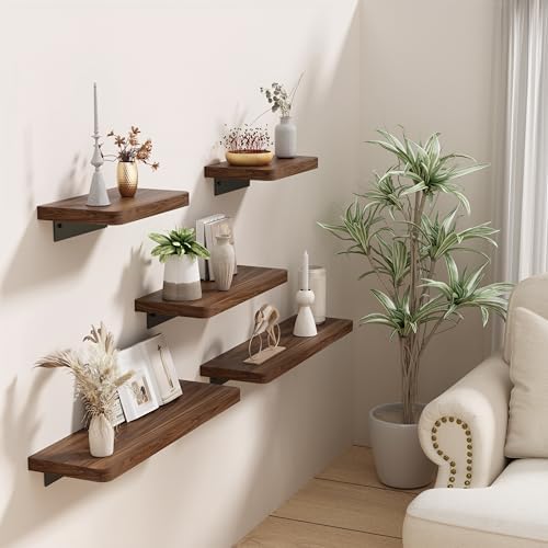 Danpoo 8 Inch Floating Walnut Shelf for Wall