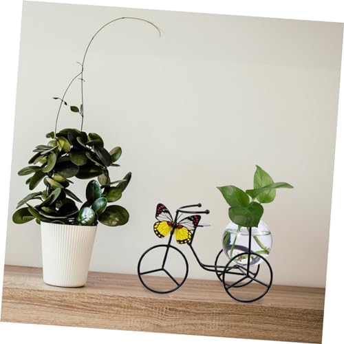 Modern Decorative Pedicab Glass Vase Wrought Iron Flower Pot