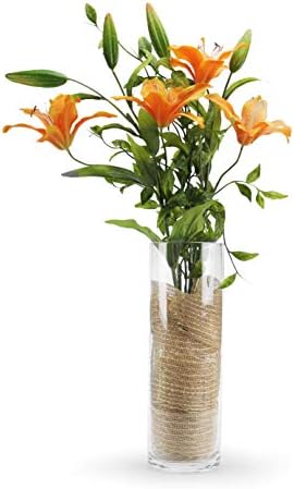 WGVI Quality Thick Weighted Clear Cylinder Glass Vases 6 Pcs