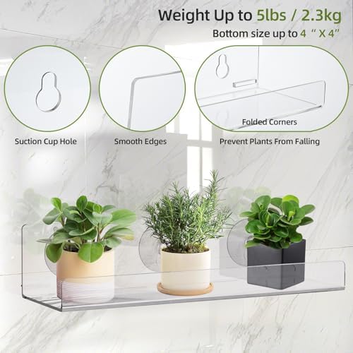 Windproof Floating Shelf Set 6 Pack for Plants and Decor
