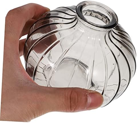 Ciieeo Pumpkin Shaped Glass Vase for Dried Flowers Home Decor