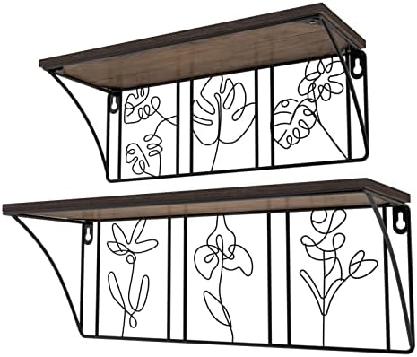 QUTREY Floating Shelves Set of 2 Minimalist Metal Abstract Decor for Living Room and Bedroom