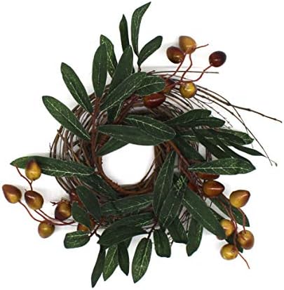 CVHOMEDECO Rustic Country Artificial Olive Wreath 9 Inch