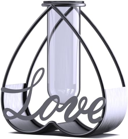 SofLiv Heart Shaped Metal Flower Vase with Frame