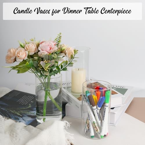 12pcs Clear Glass Cylinder Vases for Centerpieces and Decorations
