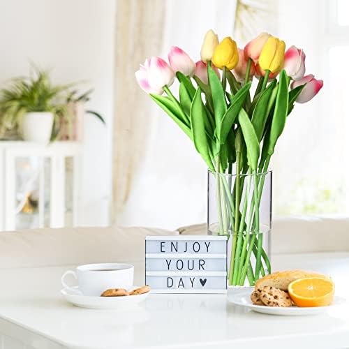 24 Pcs Tall Clear Glass Vases for Home Decor and Flower Arrangements