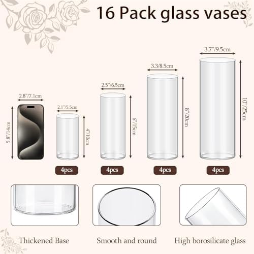 16 Pack Clear Glass Cylinder Vases for Home Decor and Party Use