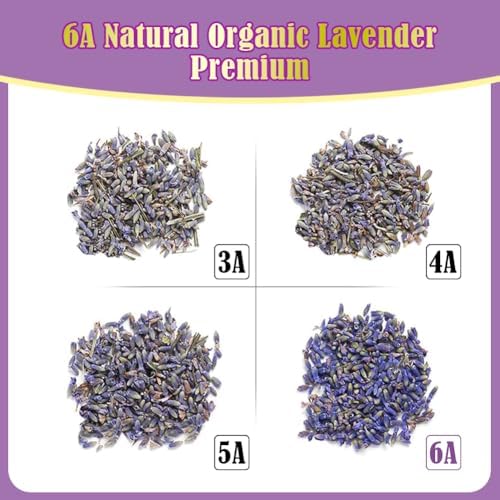 Cedar Space 32 Lavender Sachet Bags for Closets and Drawers