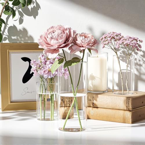 Mavora Max Glass Cylinder Vase Set 15